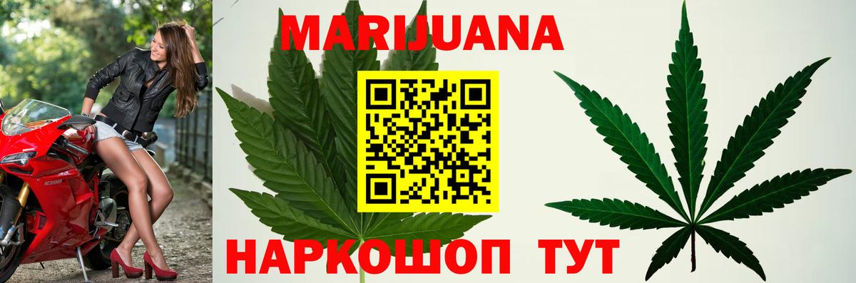 Канабис семена Сосновый Бор